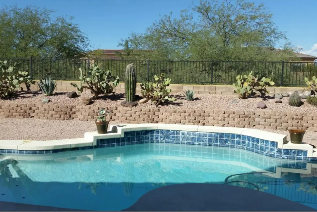 Desert-themed backyard with swimming pool